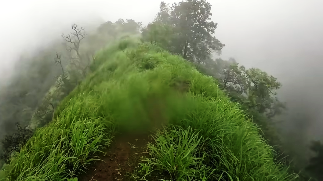 Monsoon Travel in Maharashtra