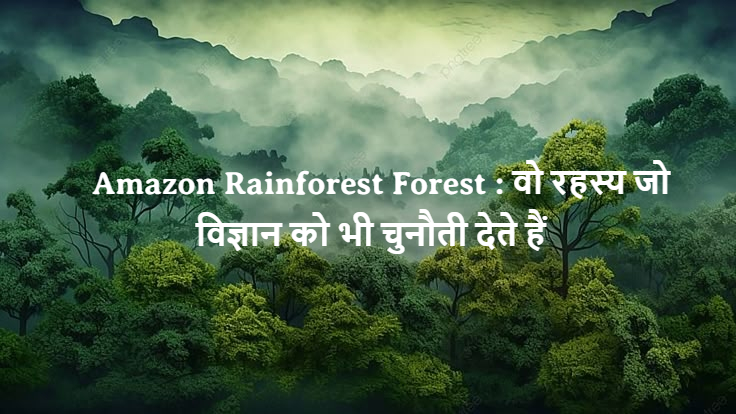 Amazon Rainforest Forest