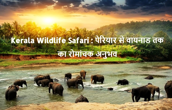 Kerala Wildlife Safari
